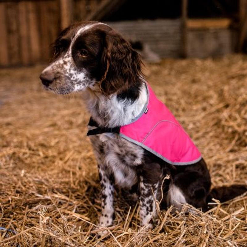 DOGMAN REFLEKSVEST REX ROSA