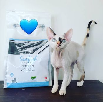 Hovedbilde Kattefôr