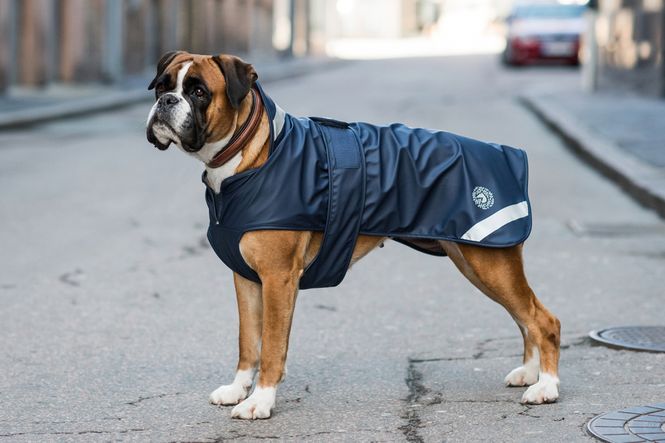 Hovedbilde JACSON PEGGY REGNDEKKEN MARINE
