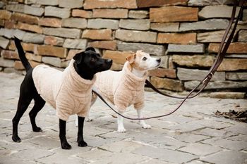 Hovedbilde Diverse dekken