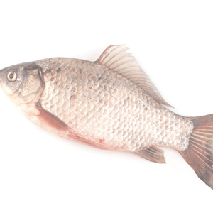 FISK