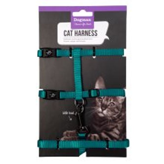 Hovedbilde KATTESELE-SETT FINDUS TURKIS