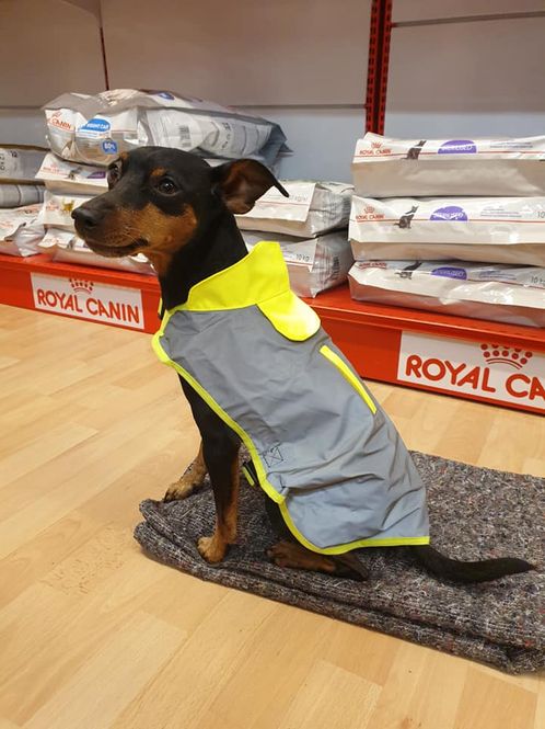 Hovedbilde TASS REFLEKSDEKKEN