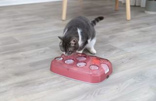 CAT ACTIVITY SOCCER 33x23,5CM