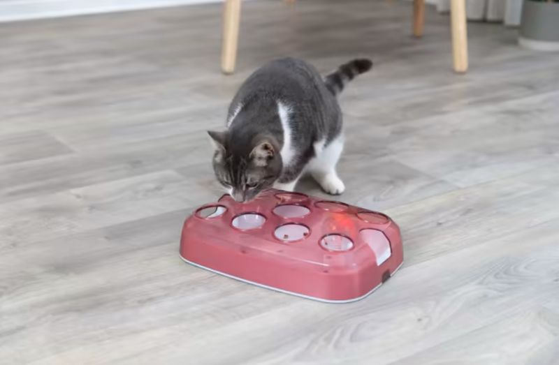 CAT ACTIVITY SOCCER 33x23,5CM