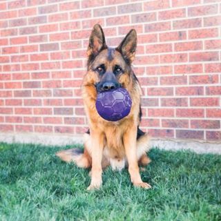 KONG FLEX BALL