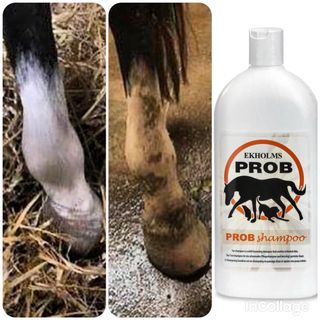 EKHOLMS PROB TJÆRESHAMPOO 200ml
