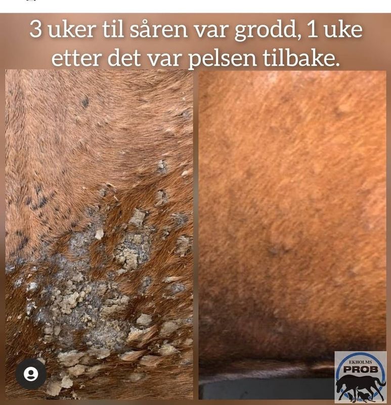 EKHOLMS PROB SUPERKREM 100ml