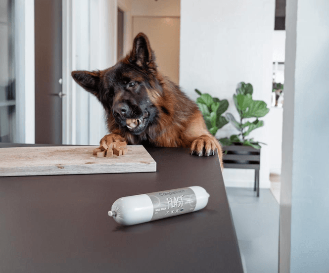Hovedbilde COMPANION+ HUNDEPØLSE HEST 350g