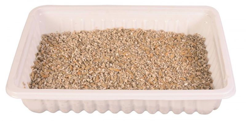 TRIXIE KATTEGRESS 100G