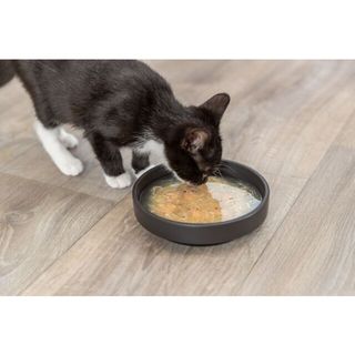 KITTIS SOUP 4x80g