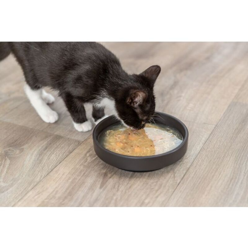 KITTIS SOUP 4x80g