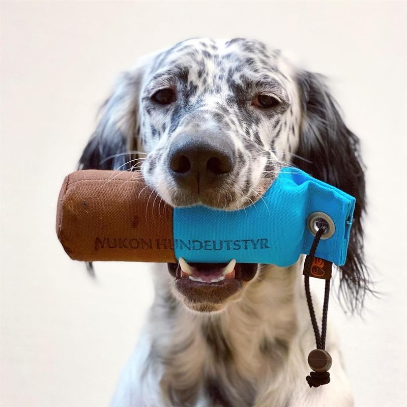 DUMMY MARKING BRUN/LYSEBLÅ