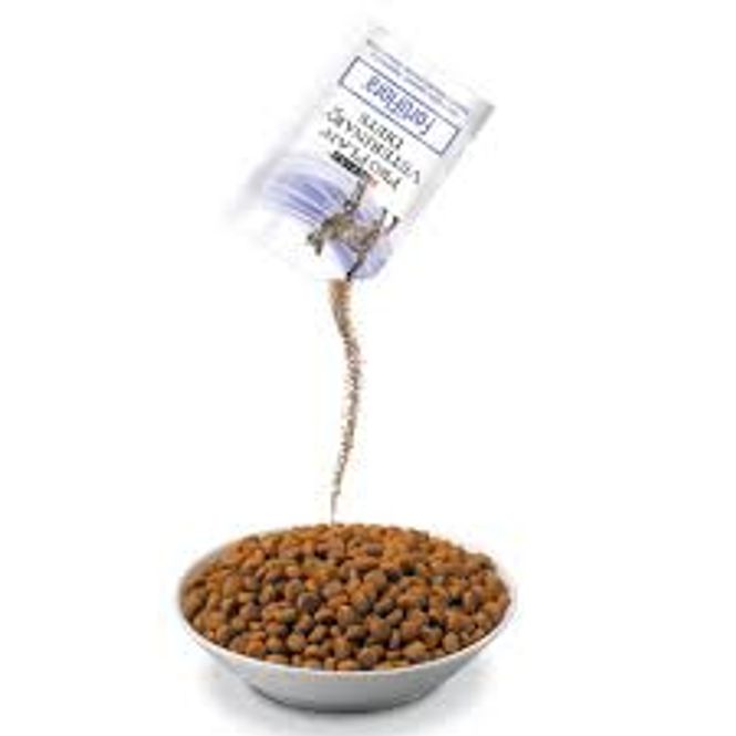 Hovedbilde FORTIFLORA KATT 7*1G