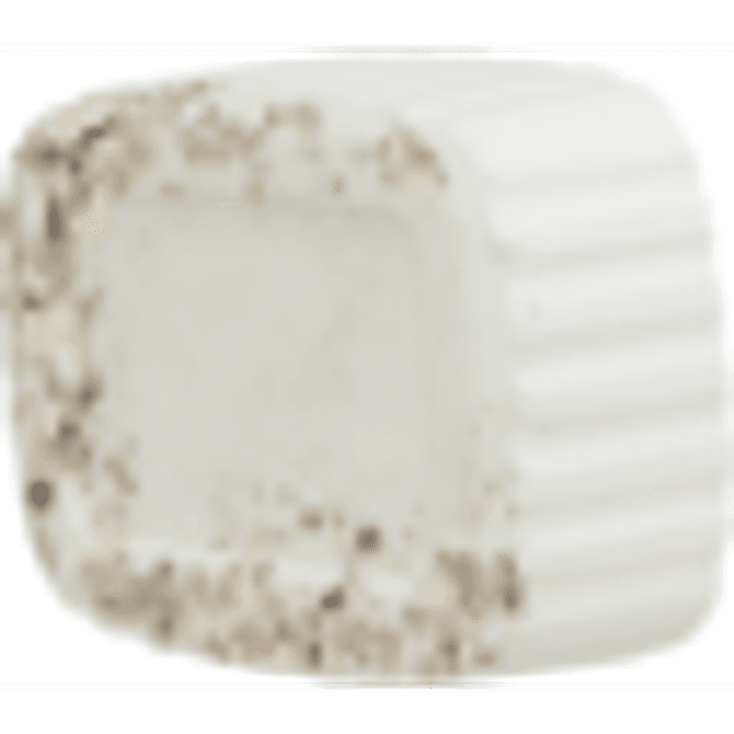 Hovedbilde TRIXIE KALKSTEIN M/SKJELL