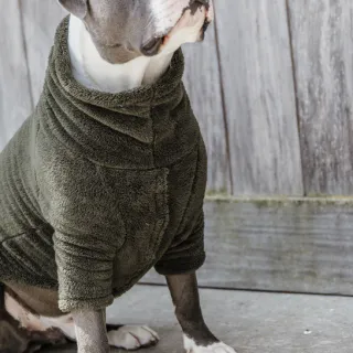 KENTUCKY DOG SWEATER TEDDY FLEECE - PINE GREEN 