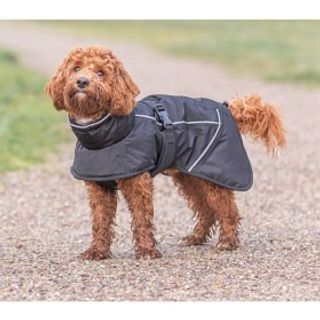 BRIZON VINTERDEKKEN FOR HUND