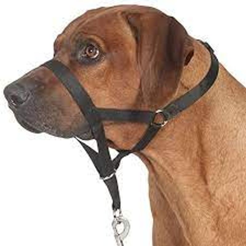 TRIXIE TOP TRAINER GRIME 