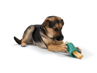 WEST PAW FUNNL - LARGE