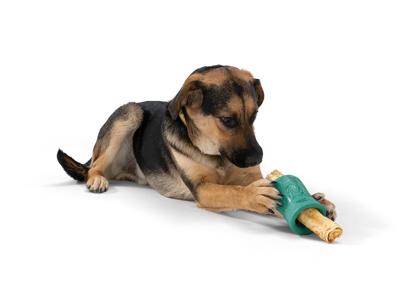 WEST PAW FUNNL - LARGE