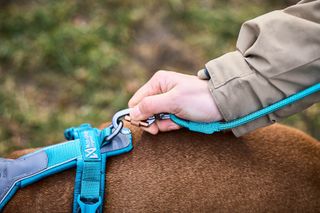 NONSTOP TREKKING ROPE LEASH