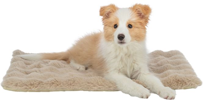 Hovedbilde ELLI MATTE BEIGE