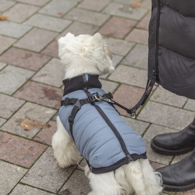 PONTIS HARNESS COAT