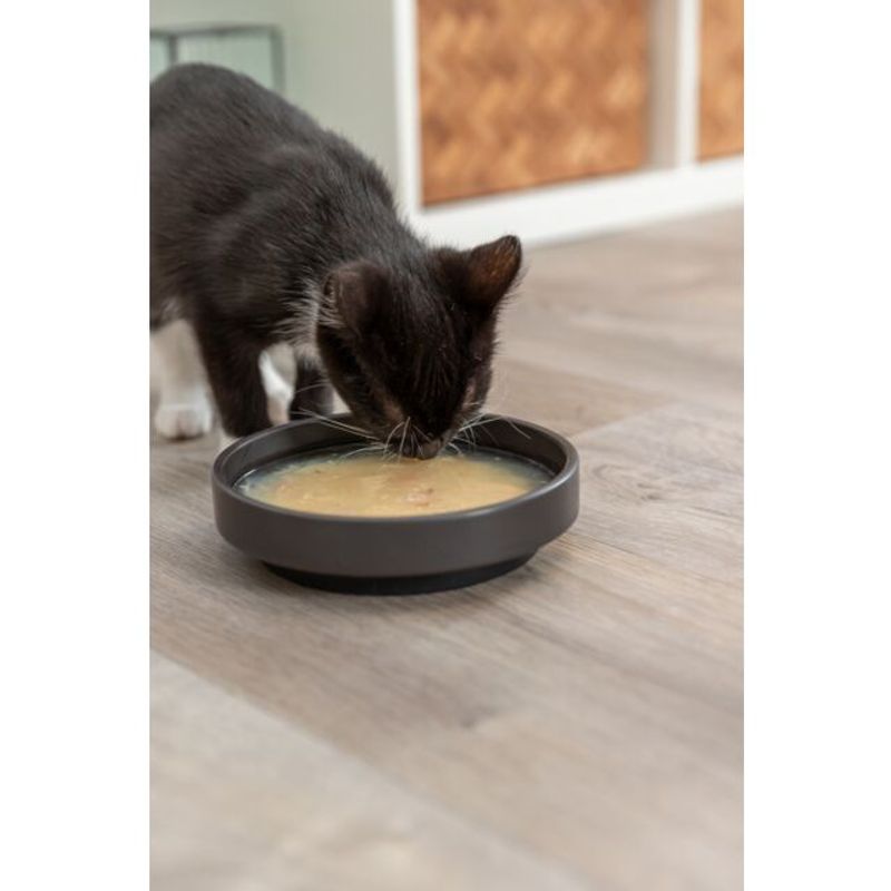 TRIXIE SALMON SOUP 80G